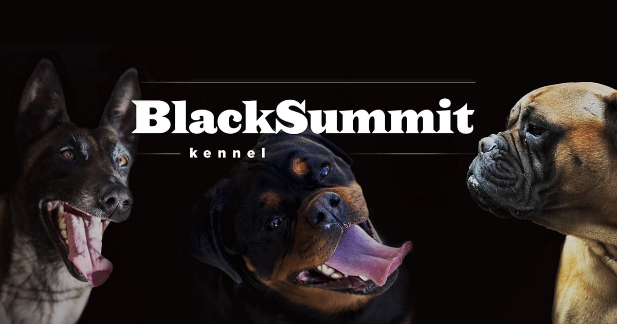 Black Summit Dog Breeders Europe Rottweilers And Belgian Malinois