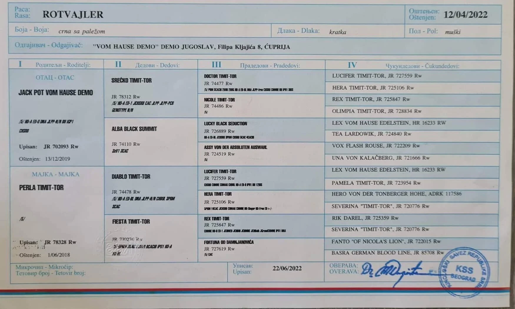 Rotvajler Bruno vom Hause Demo rodovnik